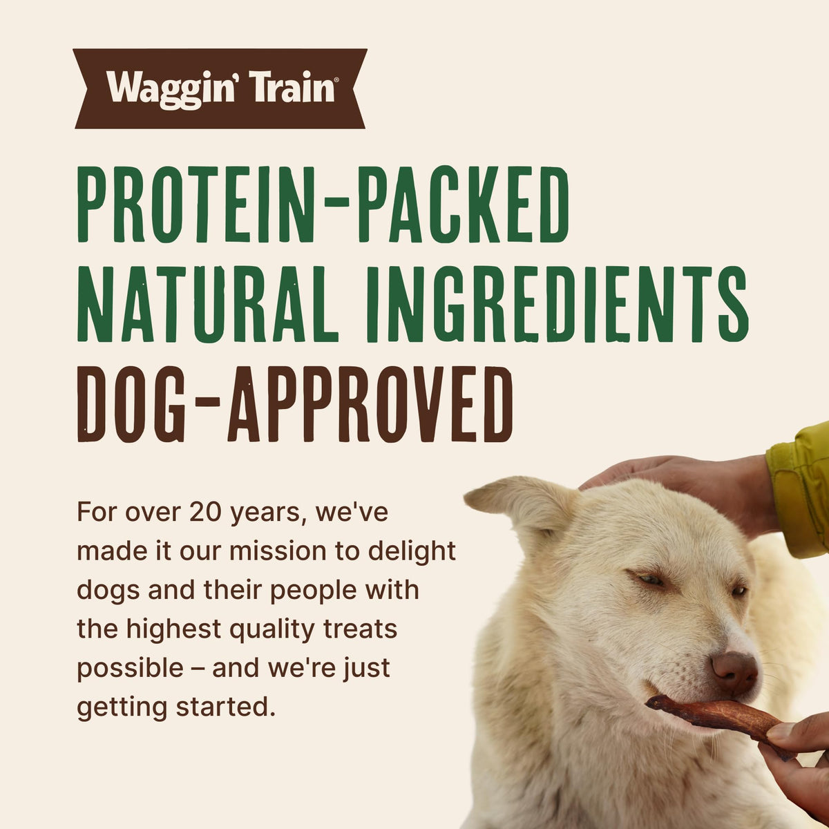 Chicken Jerky Dog Treats 30 oz N293