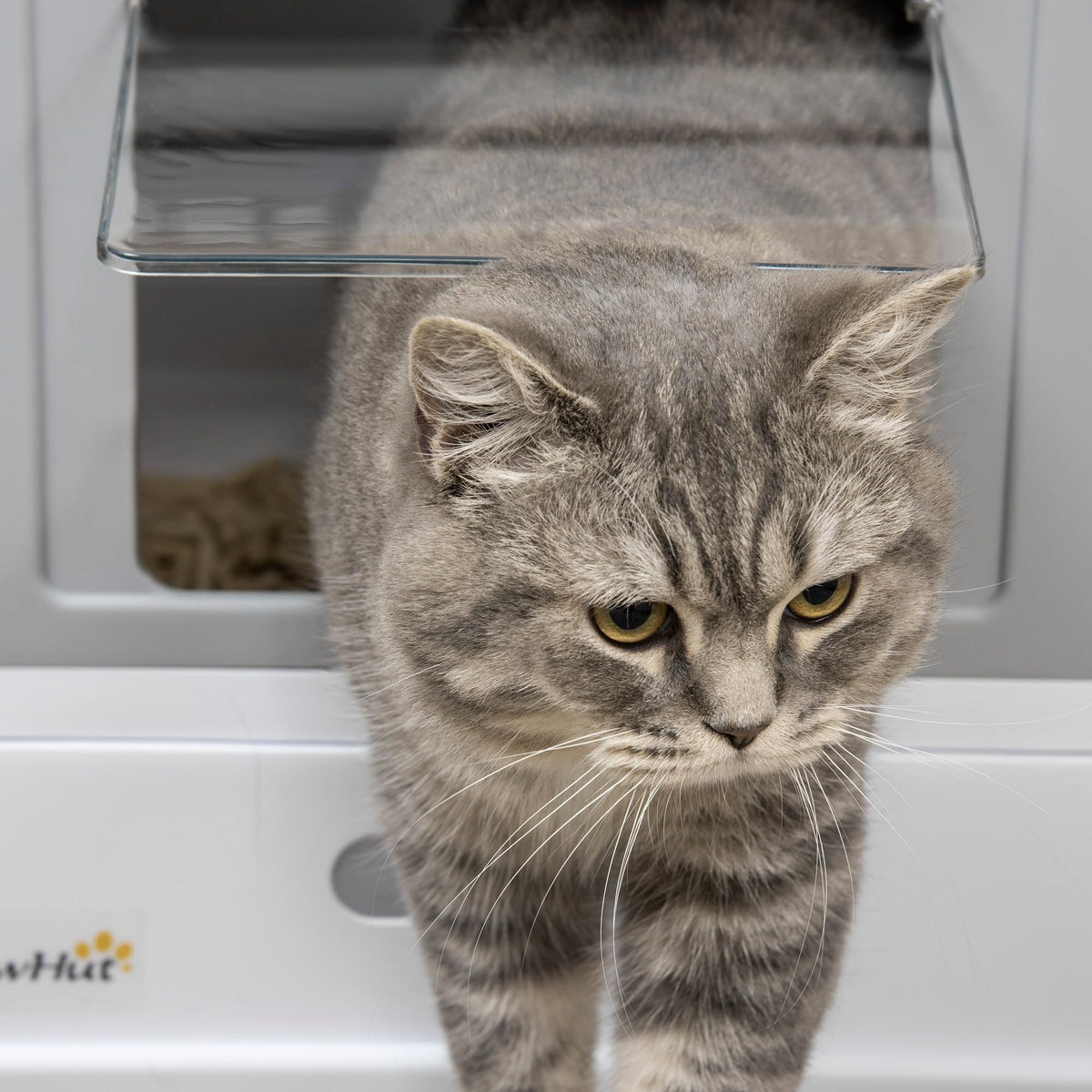 Fully Enclosed Cat Litter Box with Scoop X18632