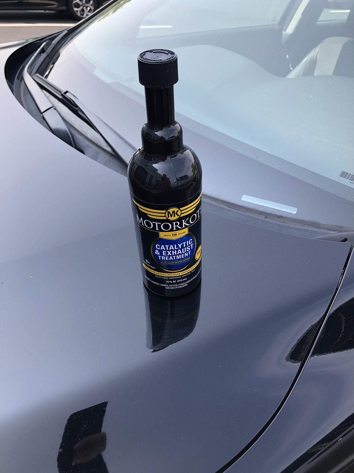 16 oz. Catalytic and Exhaust Treatment G21381